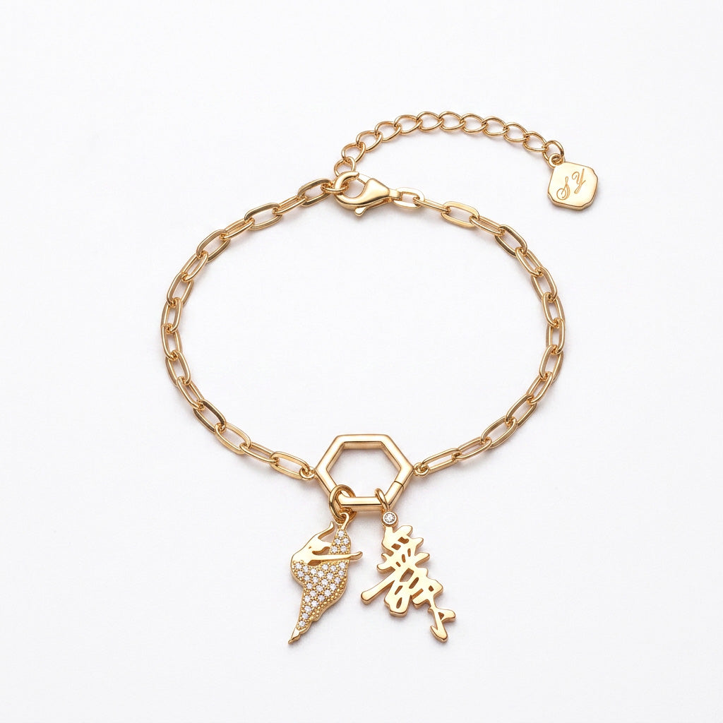 Paperclip bracelet and charm set 1
